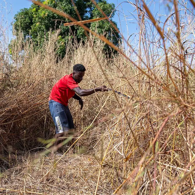 The garden area must first be prepared