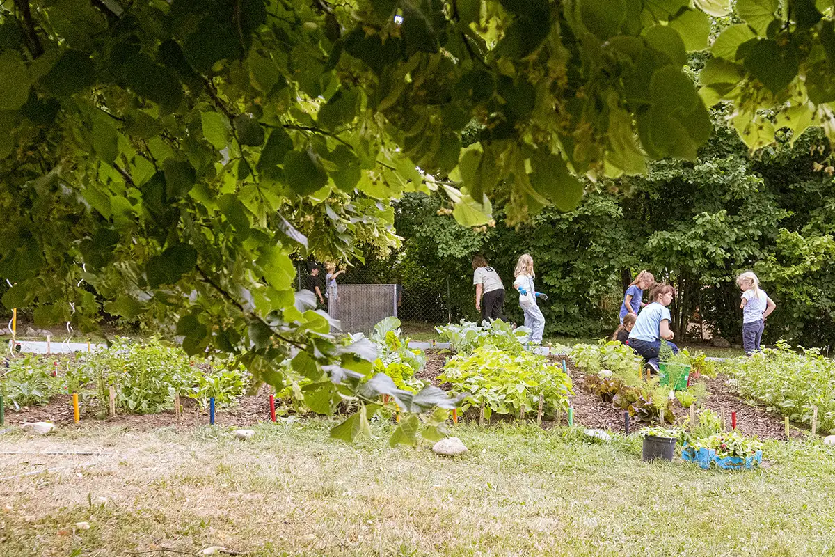 Für wirklich schlechtes Wetter haben Waldkindergärten Schutzräume.